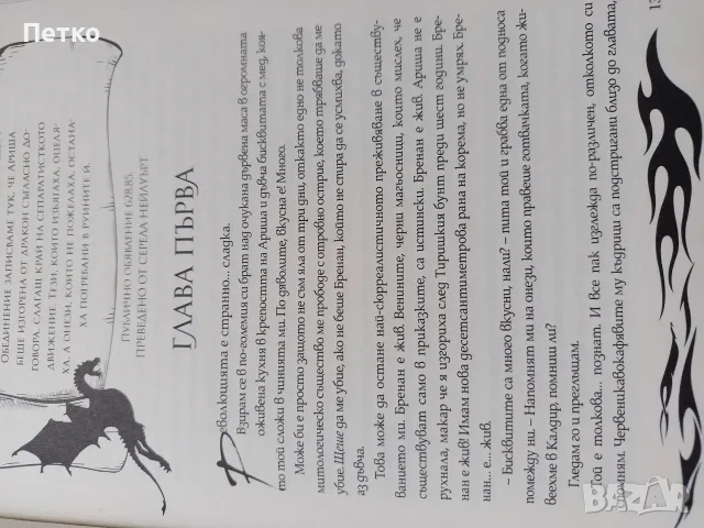 Книга Железен пламък от Ребека Ярос, снимка 6 - Художествена литература - 56188579