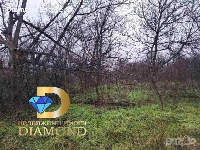 Парцел в село Кравино, общ. Опан, снимка 3 - Парцели - 53767423