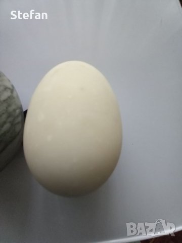 Яйца от мрамор, снимка 6 - Други - 41209548