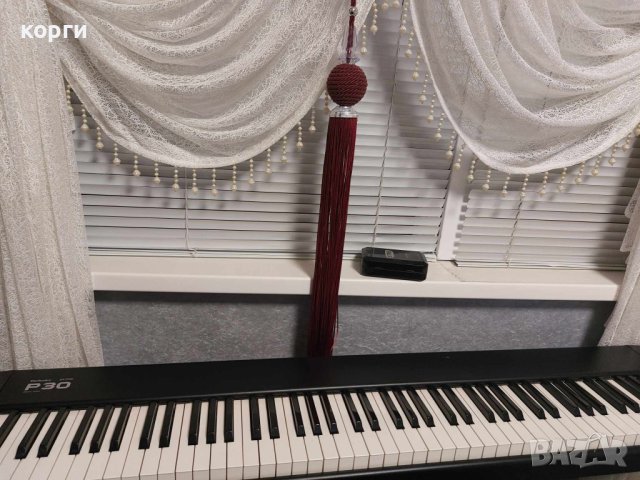 Technics SX-P30 електронно пиано, снимка 6 - Пиана - 41882172