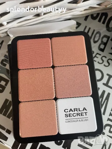 Carla Secret палитра,Професионална палитра за пълно покритие за лице