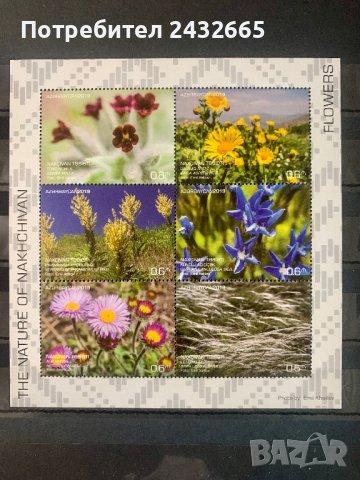 1564. Азербайджан ( Нахичеван ) 2019 ~ “  Флора. Цветята на Нахичеван. ”,  **, MNH 