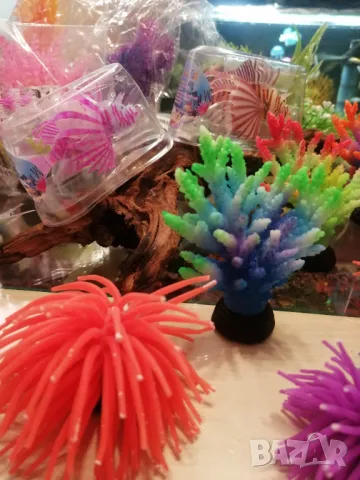 Продавам силиконови риби, корали. , снимка 6 - Оборудване за аквариуми - 47767680