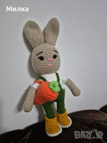 Дългоух заек с морков