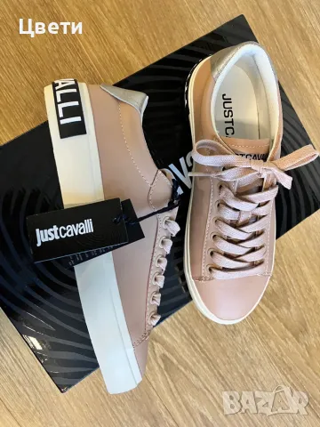 Кецове Just Cavalli