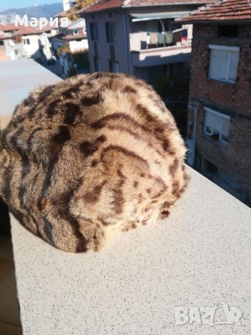 Шапки и яки, наметало от естествен косъм лисица, заек и др. , снимка 2 - Други - 35735647