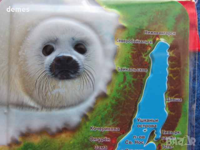 Автентичен 3D магнит от езерото Байкал, Русия-серия, снимка 4 - Колекции - 44588859