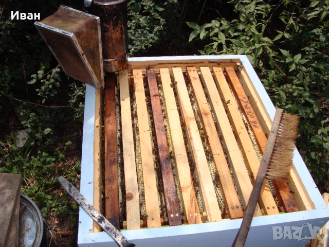 Пчелен мед, снимка 3 - Други - 53194111