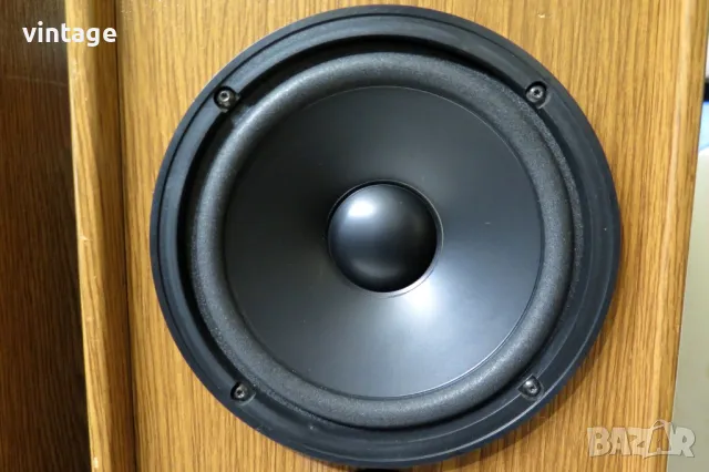 T+A TRITON TS 1E, снимка 4 - Тонколони - 47688281