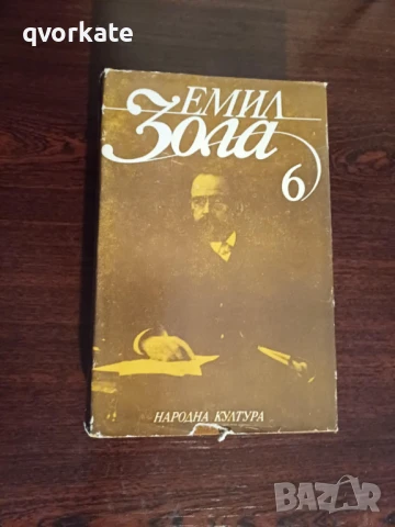 Терез Ракен-Емил Зола, снимка 10 - Художествена литература - 16623777
