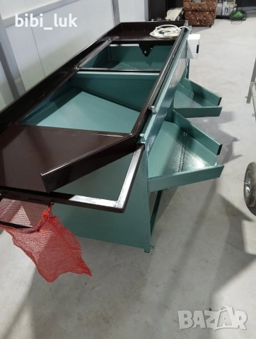 Машина за сортиране на лук, картофи, чесън, скилидки чесън, трюфели, орехи, лешници, снимка 6 - Други машини и части - 53727642