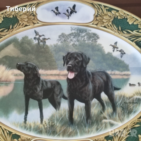 Порцеланова декоративна чиния/плато Заявено!, снимка 7 - Чинии - 51957832