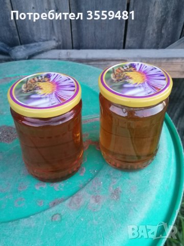 Пчелен МЕД , снимка 1 - Пчелни продукти - 41698859