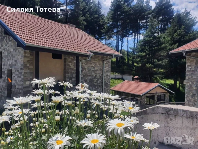 Продавам разработен бизнес, снимка 3 - Други - 45559292