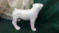 Порцеланово бяло куче 🐕, снимка 3
