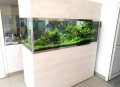 Изработвам сладководни аквариуми по желание и размер на клиента, снимка 13