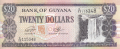 20 долара 1996, Гвиана