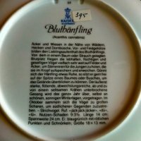 Порцелан чиния с окачване Kaiser W. Germany limited edition, снимка 9 - Колекции - 39129599