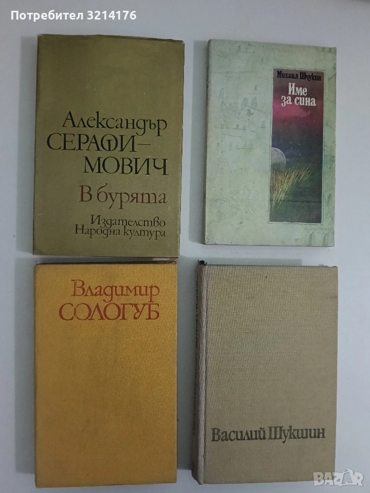 Висшето общество - Владимир Сологуб, снимка 1