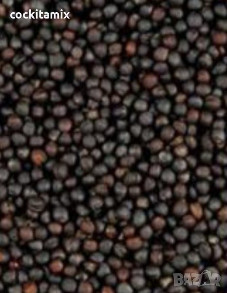 Рапица -  1кг, снимка 1