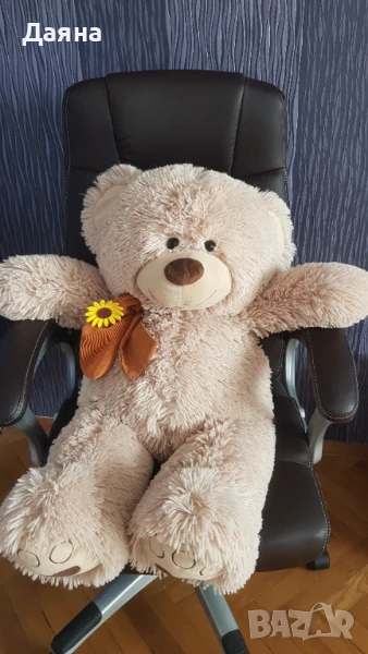 Плюшено мече , снимка 1