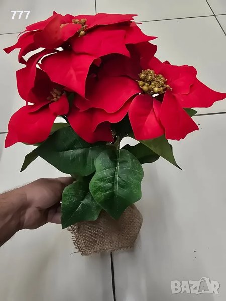 коледни звезди сакси, снимка 1