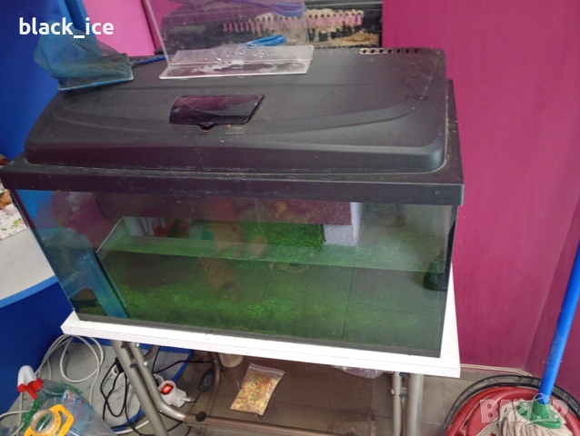 Аквариуми, снимка 3 - Аквариуми - 53203558