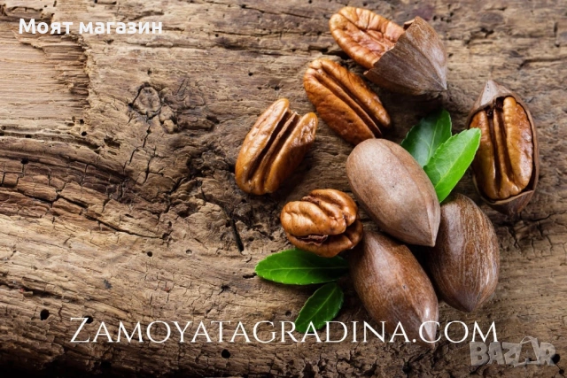 Орех Пекан - Pecan nuts