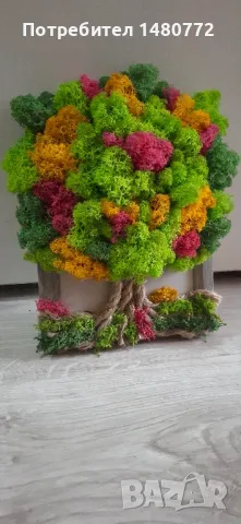 Дърво от скандинавски мъх в рамка, снимка 11 - Декорация за дома - 47986453