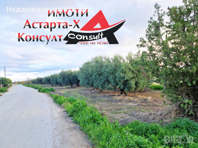 Астарта-Х Консулт продава парцел в Агиос Мамас Халкидики Ситония Гърция 