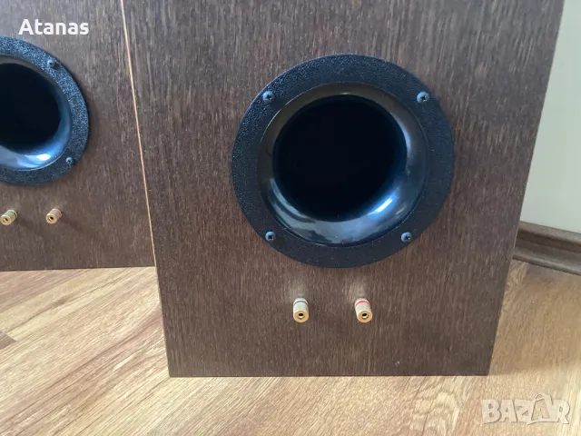 Omega Speaker Systems, Hoyt-Bedford Type 1, USA, снимка 6 - Тонколони - 49033290