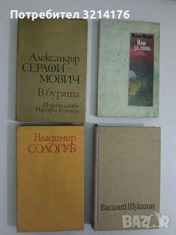 Висшето общество - Владимир Сологуб