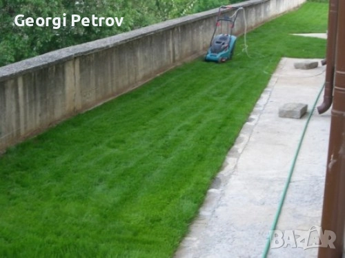 Био Тор за трева - райграс (50л - 12лв)