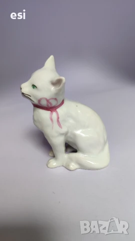 Българска фигура котрнце