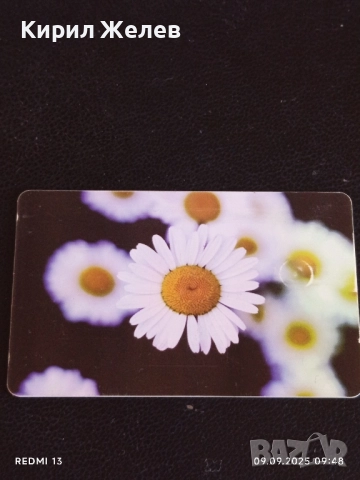 Четири фонокарти БУЛ ФОН, МОБИКОМ тема ЦВЕТЯ редки за КОЛЕКЦИЯ 50822, снимка 5 - Колекции - 51649302