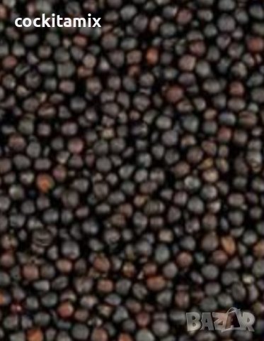 Рапица -  1кг