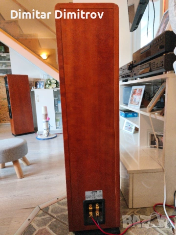 Аудиофилски тонколони Canton Ergo RC-S – Като нови, Първи собственик, Real Wood, снимка 8 - Тонколони - 53595589