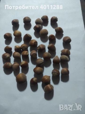 Лешници с черупка , снимка 2 - Други - 53776786