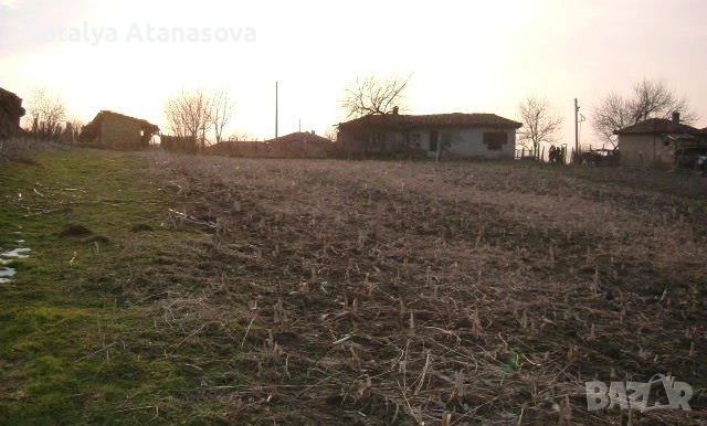 Къща за продажба в Сърнец, област Добрич, снимка 3 - Къщи - 53656477