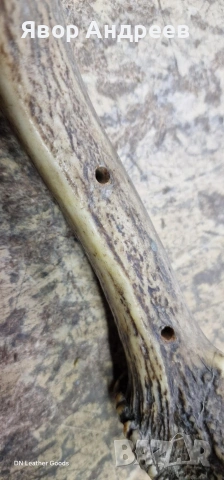 еленови рога, снимка 3 - Декорация за дома - 53062639