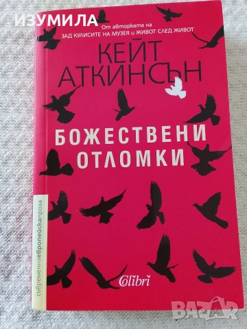 Божествени отломки - Кейт Аткинсън 