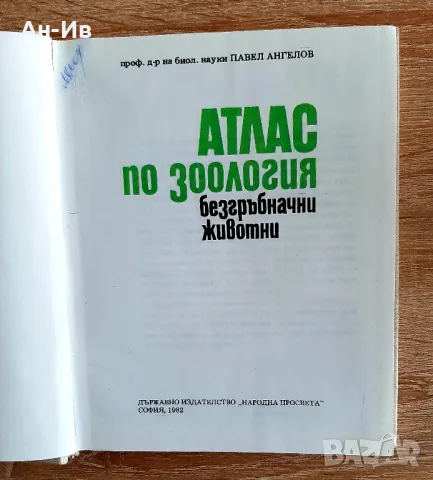 Методика на обучението по химия и обща хистология иатлас по зоология/безгръбначни животни, снимка 7 - Енциклопедии, справочници - 49114576