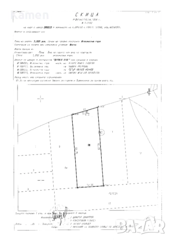 Гора 3 дка. с. Кичево, снимка 2 - Земеделска земя - 51902708
