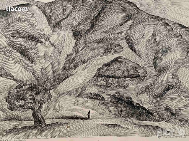 ЕЛКА НАЙДЕНОВА пейзаж – туш, снимка 1