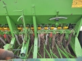 Сеялка турска, снимка 5