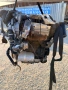 Двигател DTR 2.0 TDi 150 кс. от Vw Audi Seat Skoda 2024г., engine DTR Vw Audi Seat Skoda 2.0 TDI 150, снимка 4