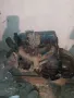 двигател от опел рекорд  комплекс. , снимка 2