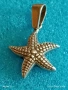 Сребърна висулка МОРСКА ЗВЕЗДА символика възтановяване,изцеление устойчивост и вътрешна сила 40782, снимка 5