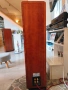 Аудиофилски тонколони Canton Ergo RC-S – Като нови, Първи собственик, Real Wood, снимка 8