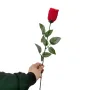 3752 Изкуствена червена роза за декорация, 65 см, снимка 2